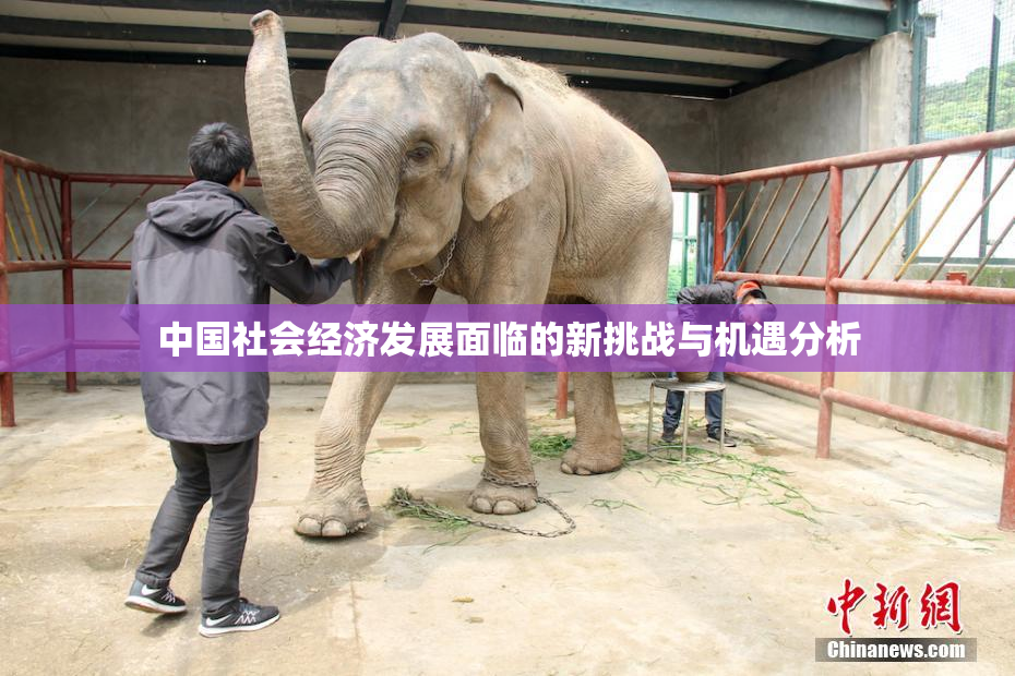 中国社会经济发展面临的新挑战与机遇分析