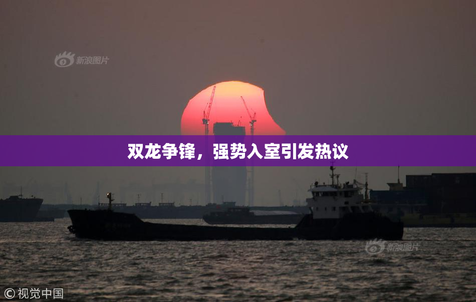 双龙争锋，强势入室引发热议