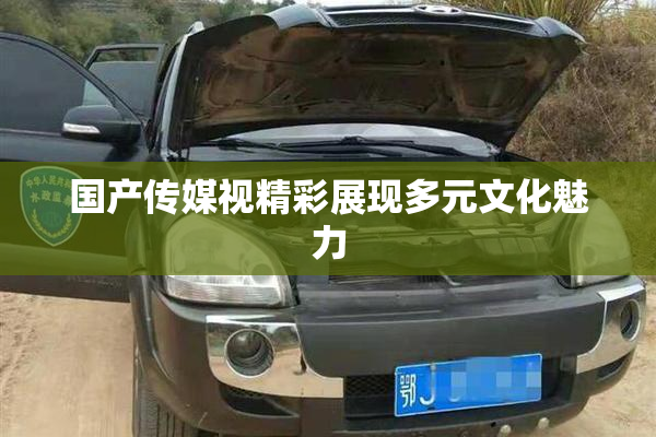 国产传媒视精彩展现多元文化魅力
