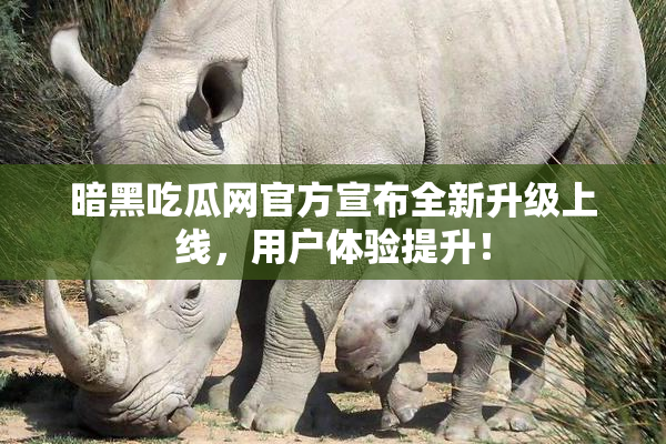 暗黑吃瓜网官方宣布全新升级上线，用户体验提升！