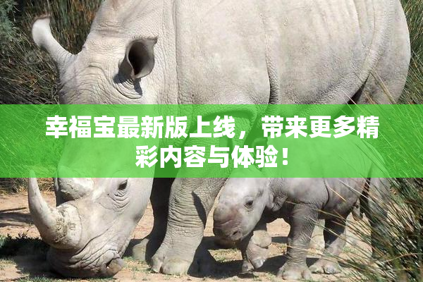 幸福宝最新版上线，带来更多精彩内容与体验！