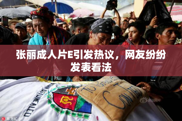 张丽成人片E引发热议，网友纷纷发表看法
