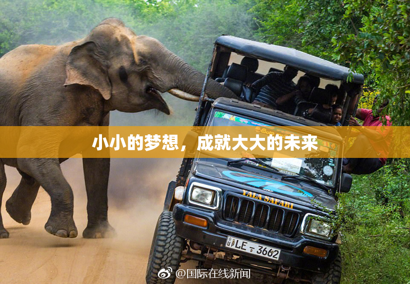 小小的梦想，成就大大的未来