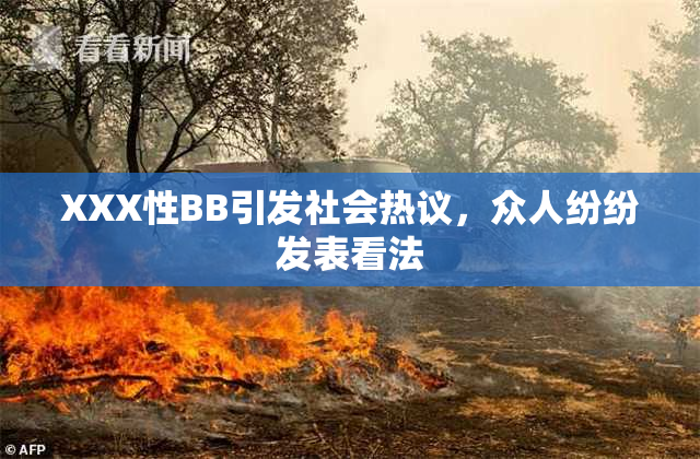 XXX性BB引发社会热议，众人纷纷发表看法