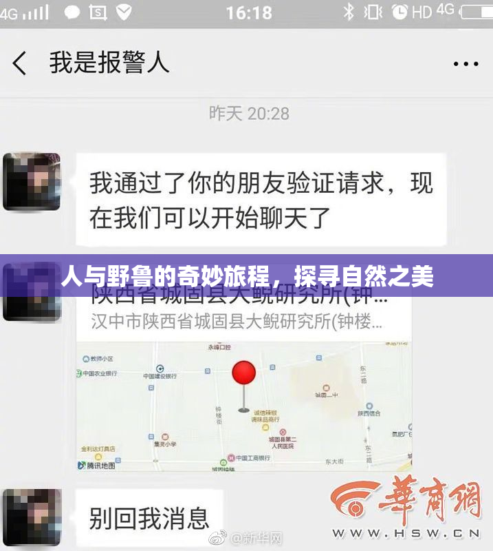 人与野鲁的奇妙旅程，探寻自然之美