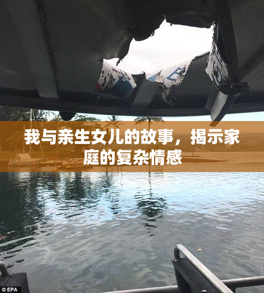 我与亲生女儿的故事，揭示家庭的复杂情感