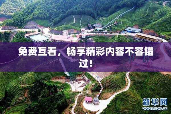 免费互看，畅享精彩内容不容错过！