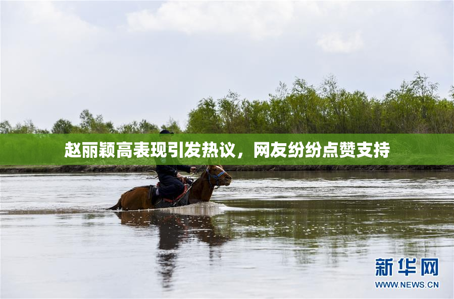 赵丽颖高表现引发热议，网友纷纷点赞支持