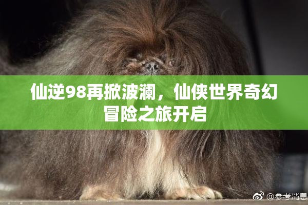 仙逆98再掀波澜，仙侠世界奇幻冒险之旅开启