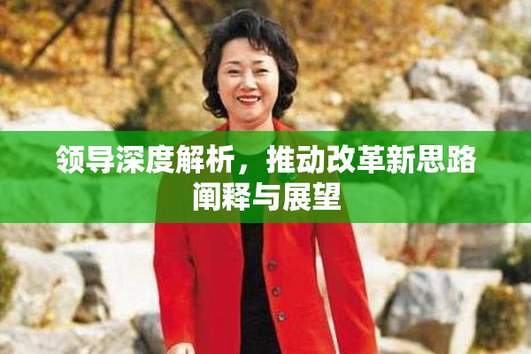 领导深度解析，推动改革新思路阐释与展望