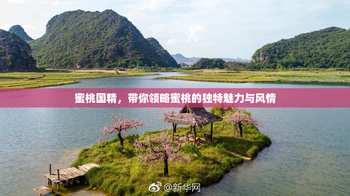 蜜桃国精，带你领略蜜桃的独特魅力与风情