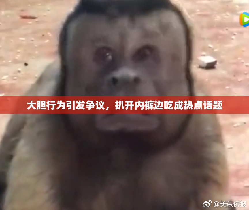 大胆行为引发争议，扒开内裤边吃成热点话题