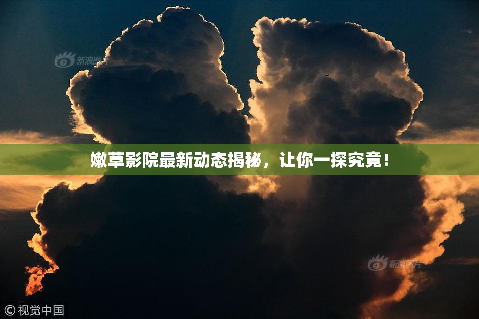 嫩草影院最新动态揭秘，让你一探究竟！
