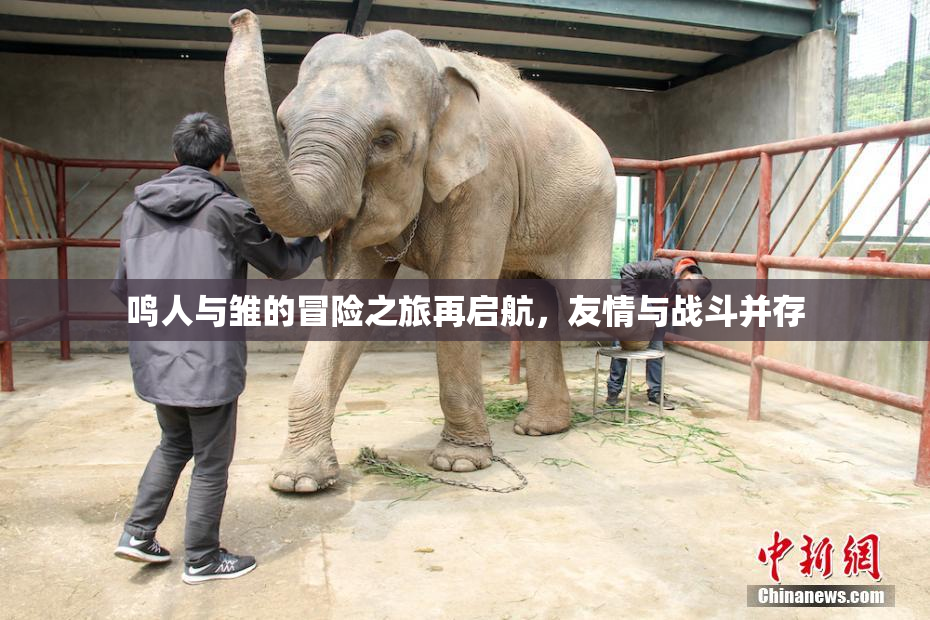 鸣人与雏的冒险之旅再启航，友情与战斗并存