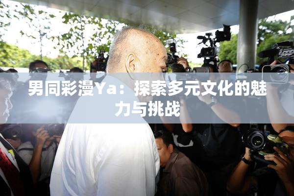 男同彩漫Ya：探索多元文化的魅力与挑战