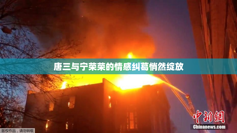 唐三与宁荣荣的情感纠葛悄然绽放