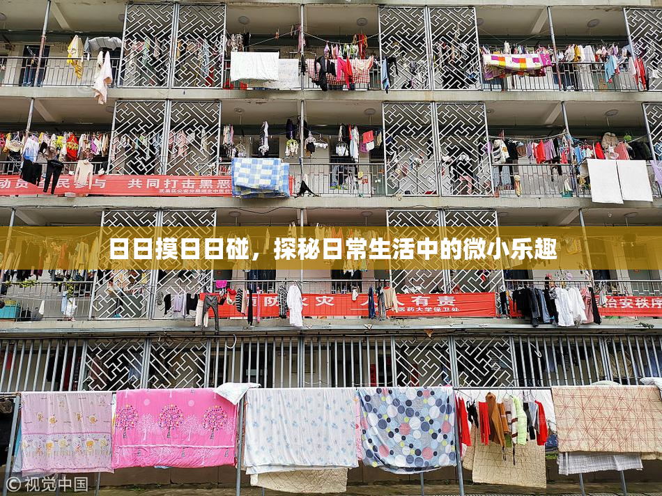 日日摸日日碰，探秘日常生活中的微小乐趣