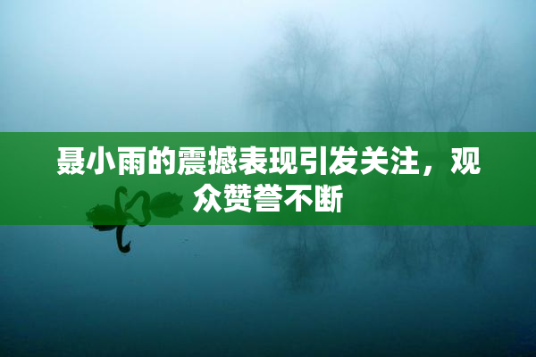 聂小雨的震撼表现引发关注，观众赞誉不断
