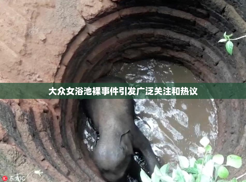 大众女浴池裸事件引发广泛关注和热议