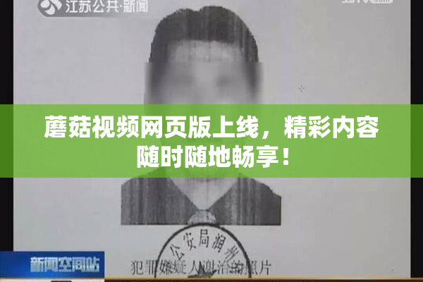 蘑菇视频网页版上线，精彩内容随时随地畅享！