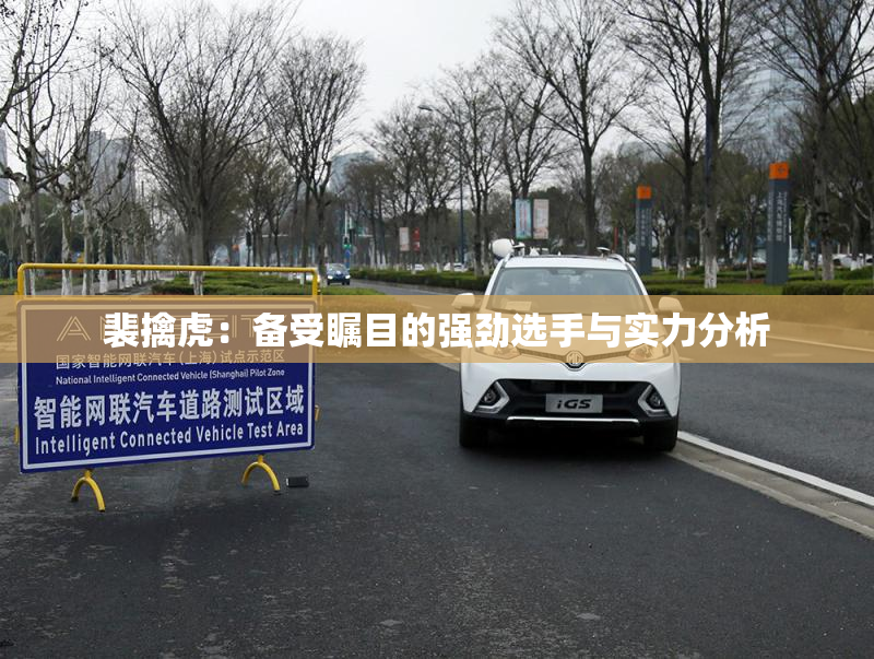 裴擒虎：备受瞩目的强劲选手与实力分析