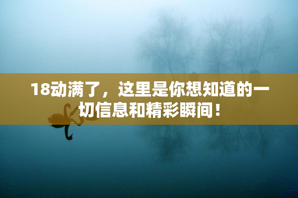 18动满了，这里是你想知道的一切信息和精彩瞬间！