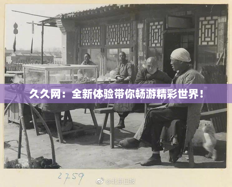 久久网：全新体验带你畅游精彩世界！