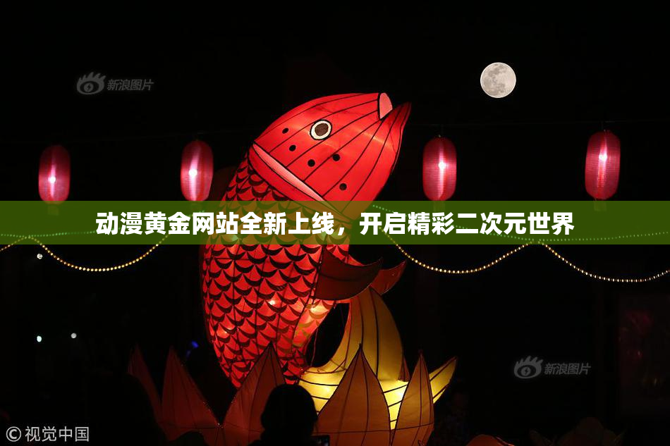 动漫黄金网站全新上线，开启精彩二次元世界