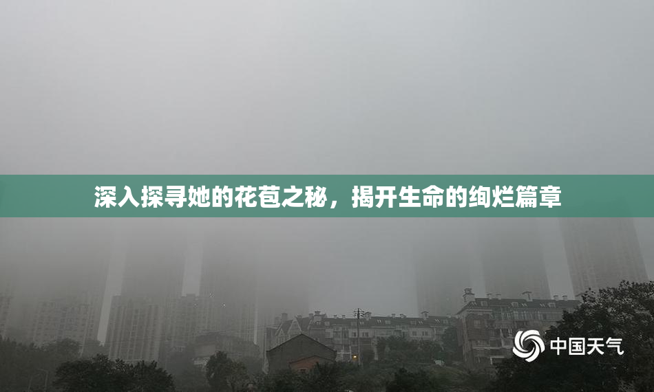 深入探寻她的花苞之秘，揭开生命的绚烂篇章