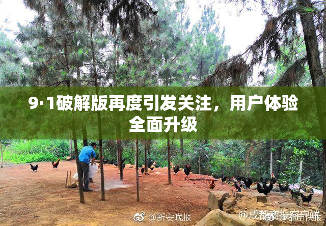 9·1破解版再度引发关注，用户体验全面升级