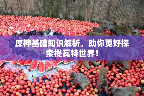原神基础知识解析，助你更好探索提瓦特世界！