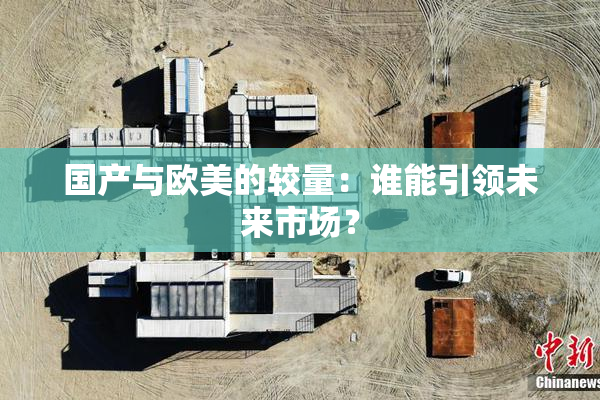 国产与欧美的较量：谁能引领未来市场？