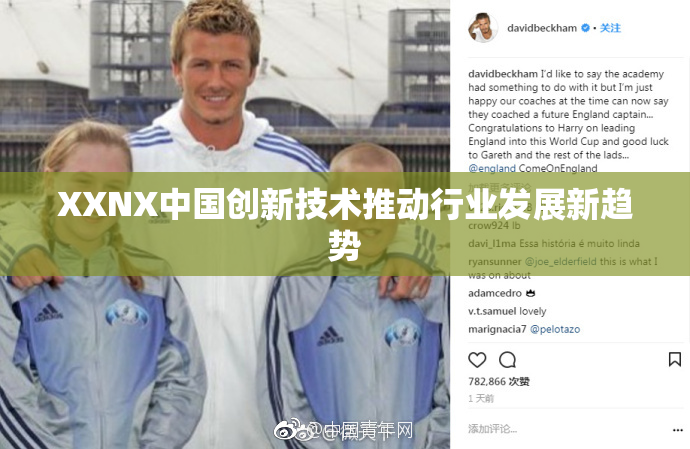XXNX中国创新技术推动行业发展新趋势