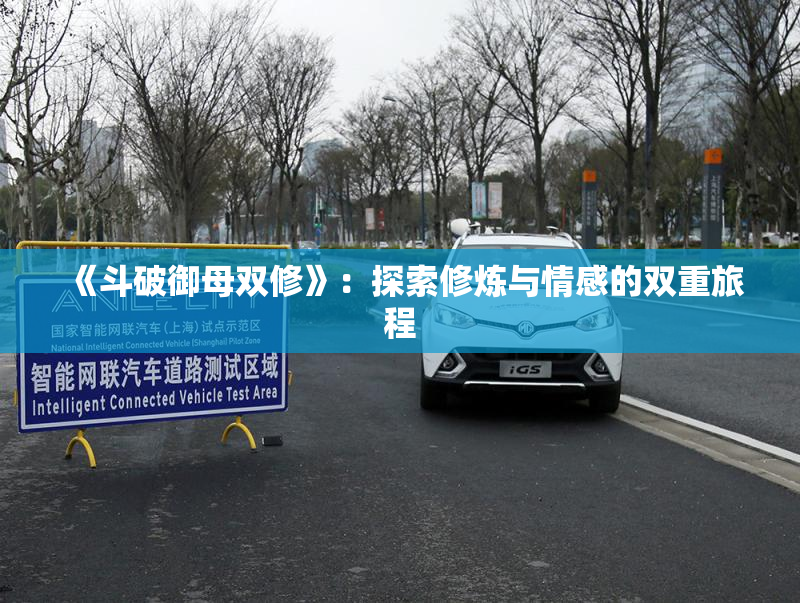 《斗破御母双修》：探索修炼与情感的双重旅程
