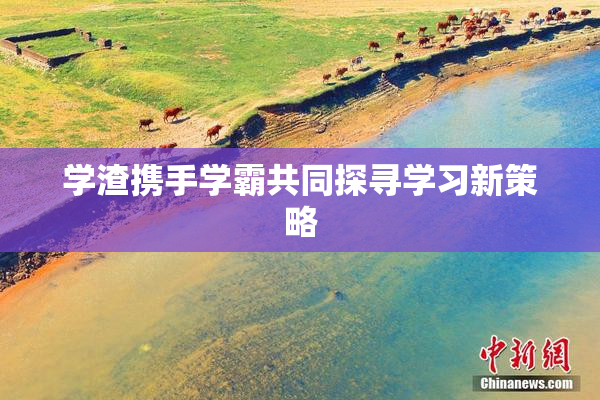 学渣携手学霸共同探寻学习新策略