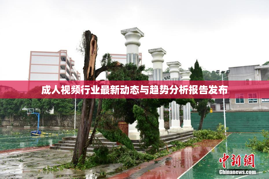 成人视频行业最新动态与趋势分析报告发布