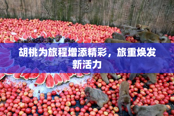 胡桃为旅程增添精彩，旅重焕发新活力