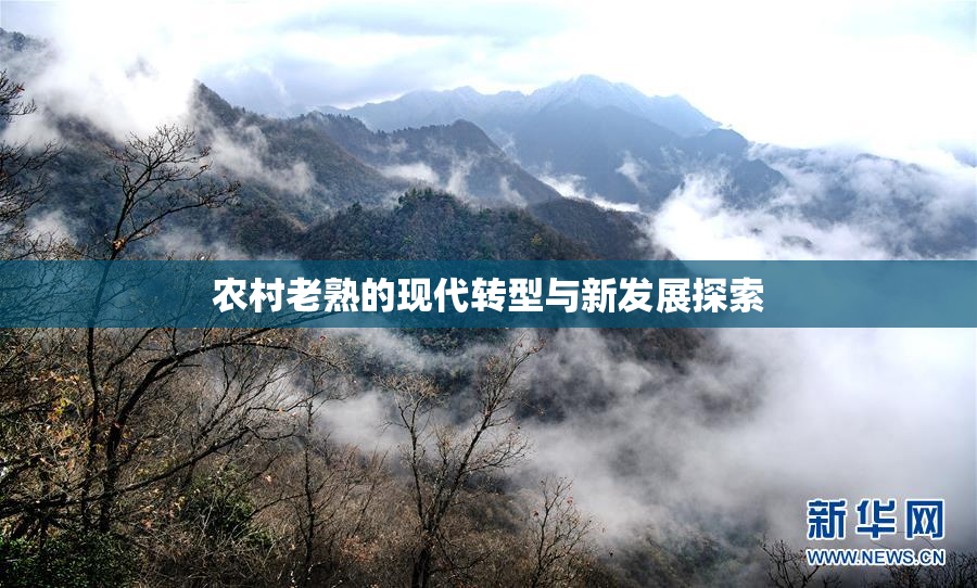 农村老熟的现代转型与新发展探索