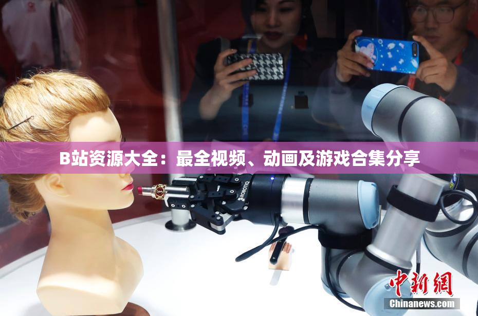 B站资源大全：最全视频、动画及游戏合集分享