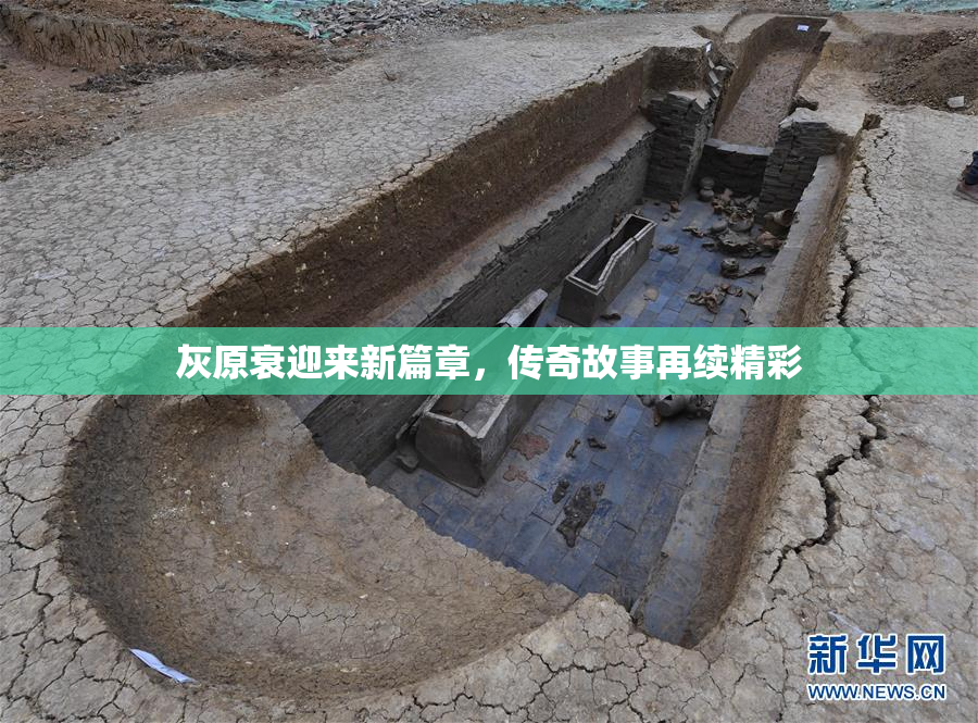 灰原衰迎来新篇章，传奇故事再续精彩
