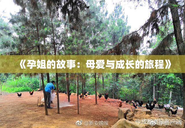 《孕姐的故事：母爱与成长的旅程》