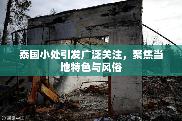 泰国小处引发广泛关注，聚焦当地特色与风俗