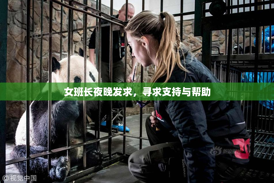 女班长夜晚发求，寻求支持与帮助