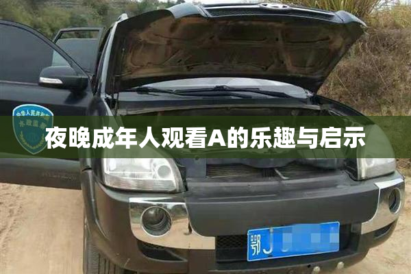 夜晚成年人观看A的乐趣与启示