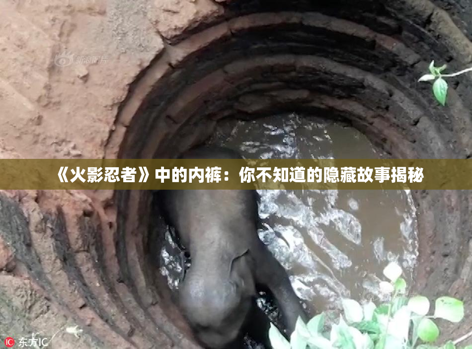 《火影忍者》中的内裤：你不知道的隐藏故事揭秘