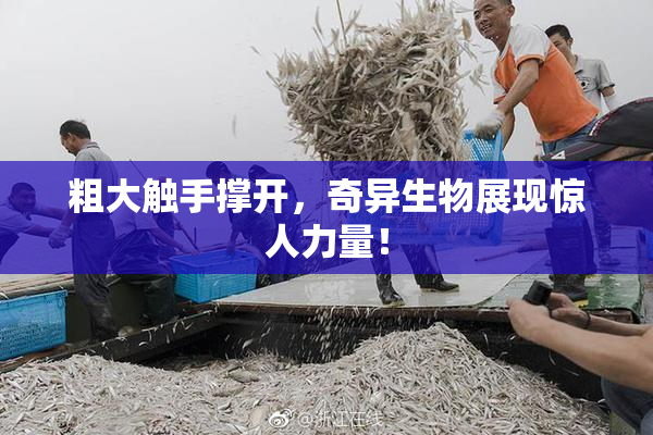 粗大触手撑开，奇异生物展现惊人力量！