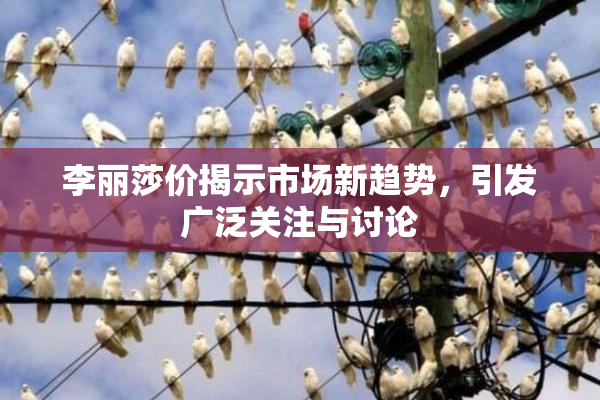 李丽莎价揭示市场新趋势，引发广泛关注与讨论