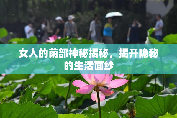 女人的荫部神秘揭秘，揭开隐秘的生活面纱