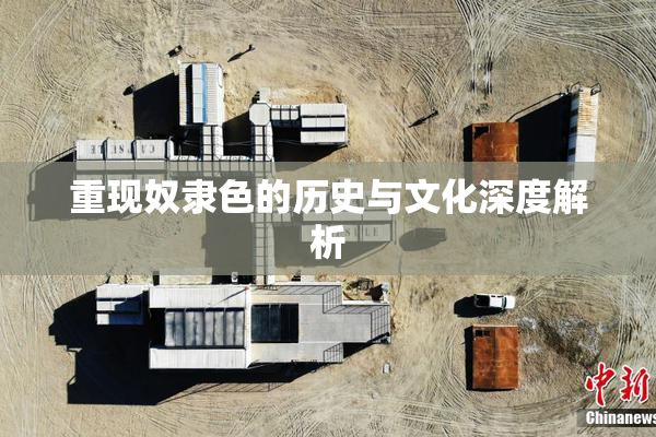 重现奴隶色的历史与文化深度解析