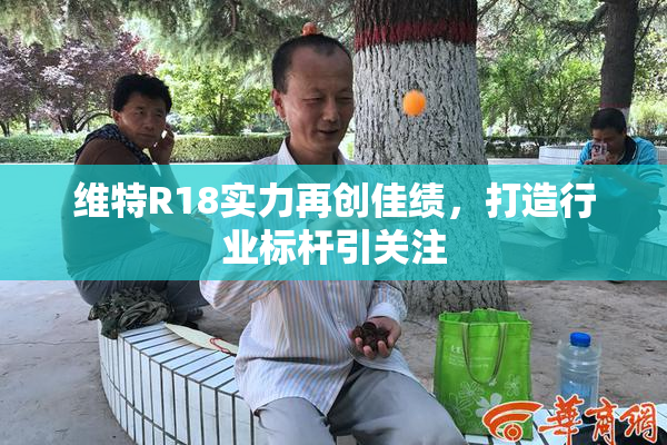 维特R18实力再创佳绩，打造行业标杆引关注